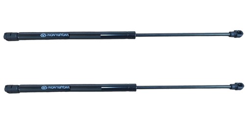 Coppia molle gas pistoni - coppia,