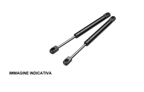 Coppia molle gas - molle, a